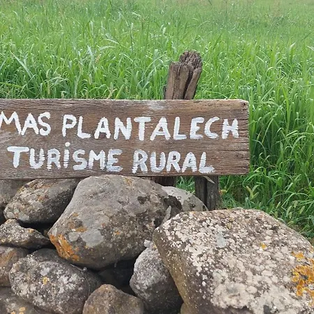 Mas Plantalech