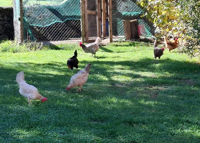 Mas Plantalech * Жерона