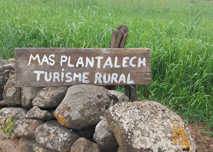 Mas Plantalech
